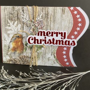 Rustic Robin Christmas Card