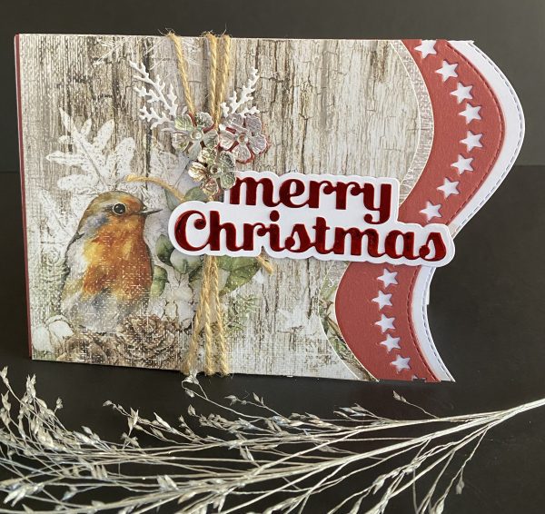 Rustic Robin Christmas Card