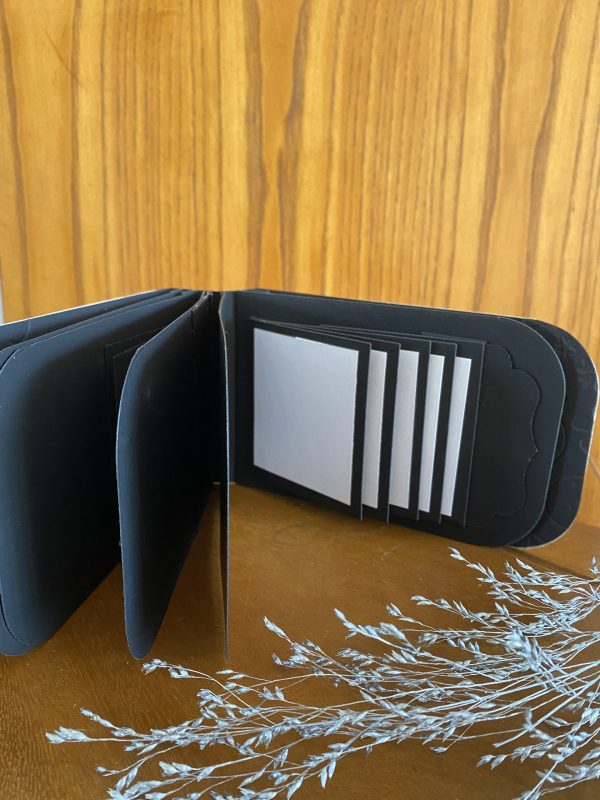 Mini Treasure album - Image 6