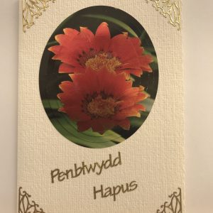 welsh happy birthday