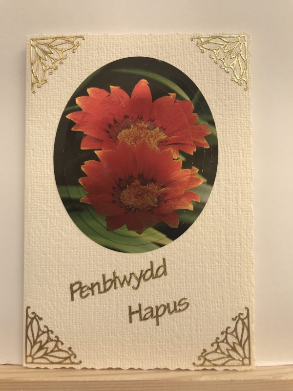 welsh happy birthday