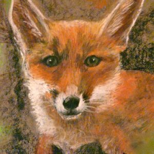 Fox Artwork Print Medium 8 x 10