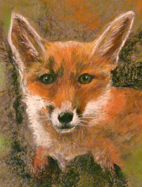 Fox Artwork Print Medium 8 x 10
