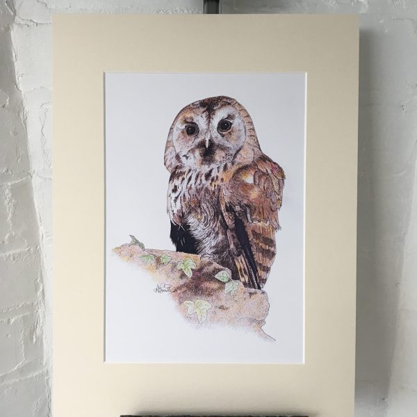 Tawny Owl Artwork Print - 2 sizes available - Image 2