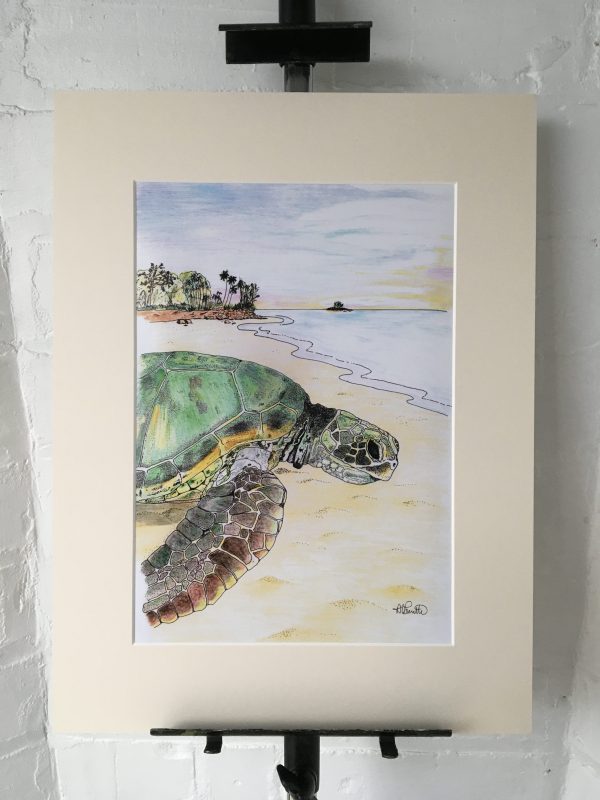 Green Turtle Artwork Print - 2 sizes - Image 2