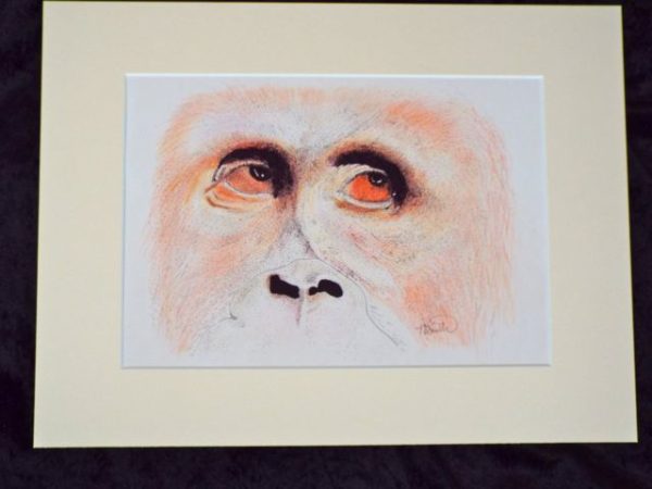 Orangutang Artwork Print Medium 8 x 10 - Image 2