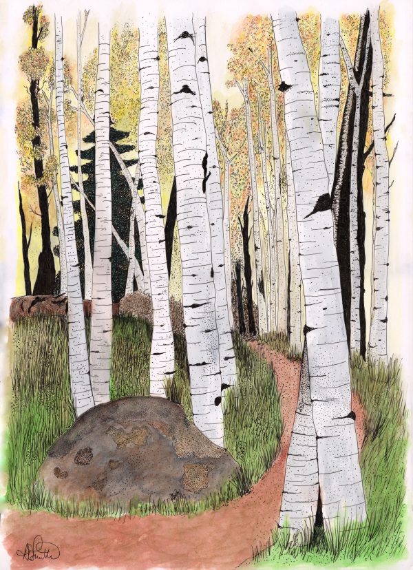 Silver Birch Artwork Print Large 12 x 16 with artist signature
