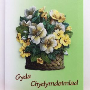 welsh sympathy card