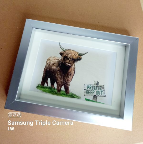 Highland cattle frame - Image 2