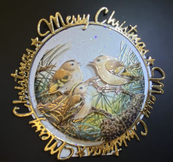 3D Delightful Birds Decoupaged  / framed Christmas Card. - Image 7