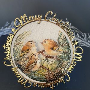 3D Delightful Birds Decoupaged  / framed Christmas Card.