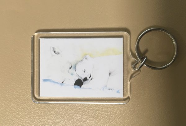 Keyrings - Artworks of  Lions, and tigers and bears! And a cat... - Image 5