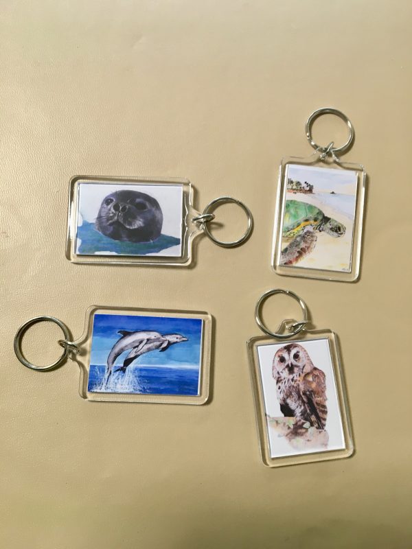 Keyrings - Artworks of  Seal, Dolphins, Turtle and Owl
