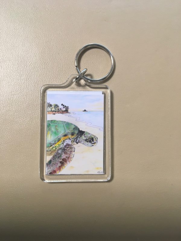 Keyrings - Artworks of  Seal, Dolphins, Turtle and Owl - Image 4