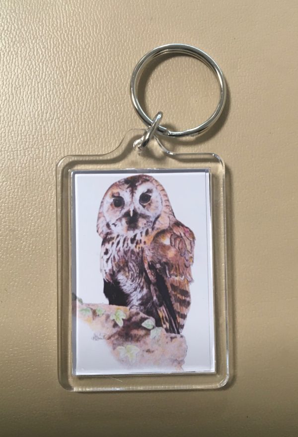 Keyrings - Artworks of  Seal, Dolphins, Turtle and Owl - Image 3