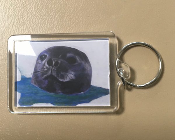 Keyrings - Artworks of  Seal, Dolphins, Turtle and Owl - Image 2