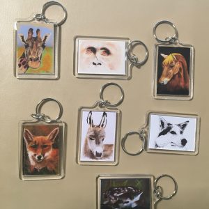 Keyrings - Artworks of Giraffe, Fox, Orangutang, Horse, Donkey, Husky and Fawn