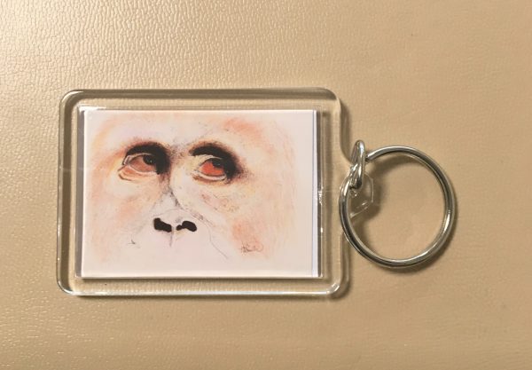 Keyrings - Artworks of Giraffe, Fox, Orangutang, Horse, Donkey, Husky and Fawn - Image 7