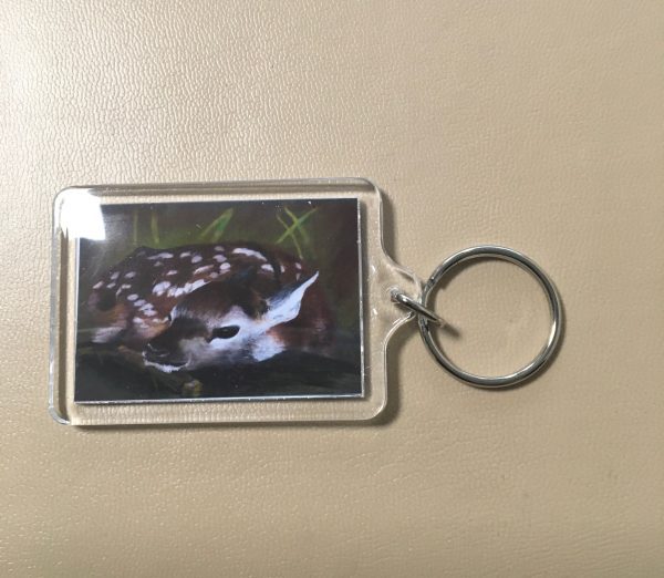 Keyrings - Artworks of Giraffe, Fox, Orangutang, Horse, Donkey, Husky and Fawn - Image 3