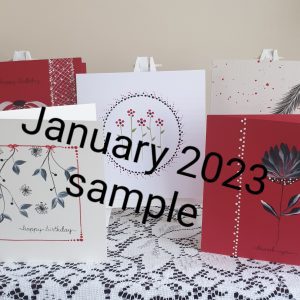 Mystery pack of ex sample cards from the monthly VIP Boxes
