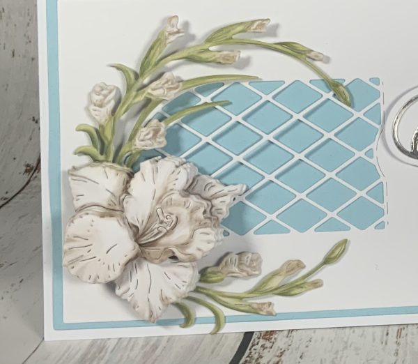 Gladioli DL card - Image 2
