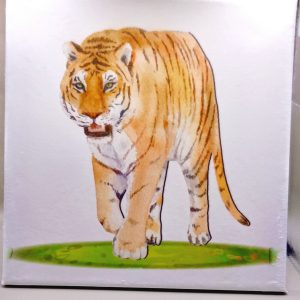 Tiger canvas