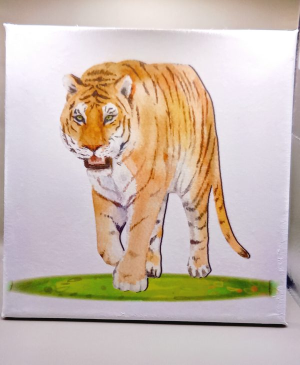 Tiger canvas