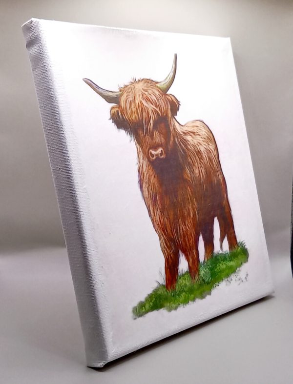 Highland cattle canvas - Image 2