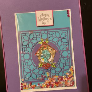 Mother’s Day Shaker’s Card’s