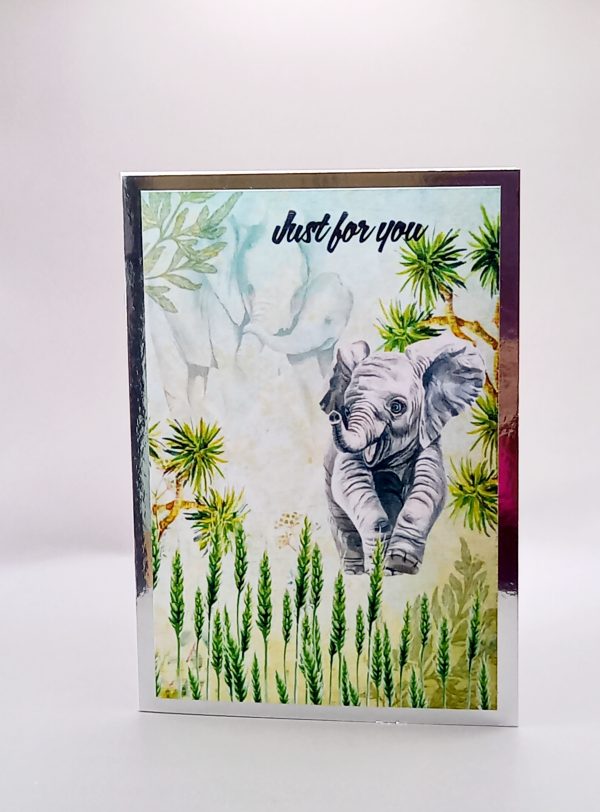 Pack of four all occasion cards - Image 3