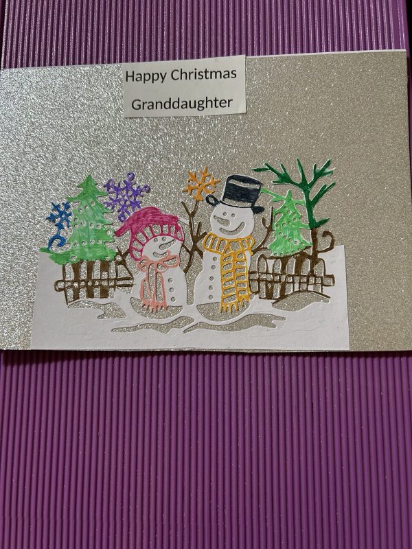 Christmas Card's                             