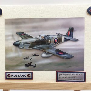 North American Mustang greeting card