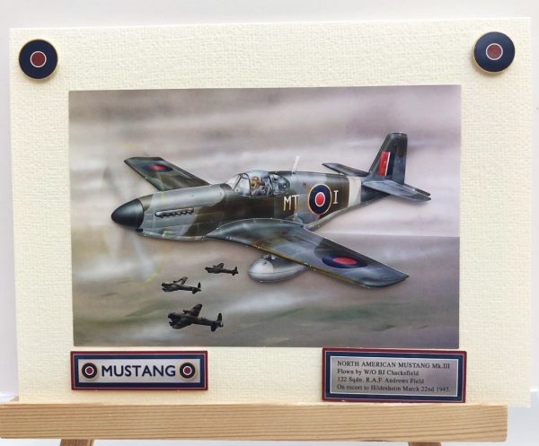 North American Mustang greeting card