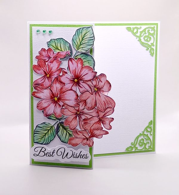 Hand coloured Best Wishes card
