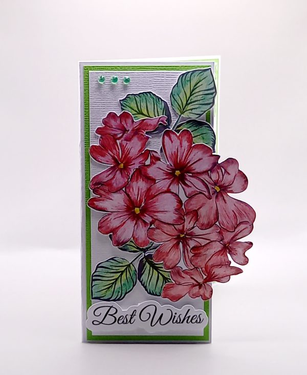Hand coloured Best Wishes card - Image 2