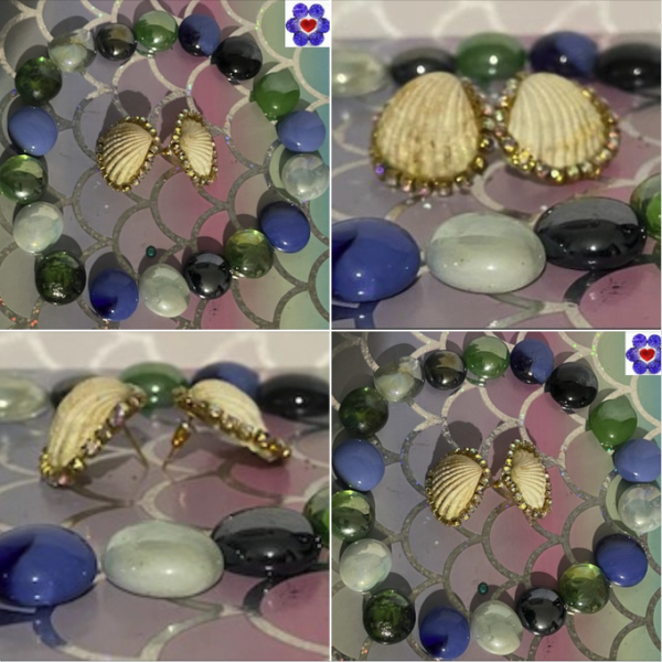 Shell studs