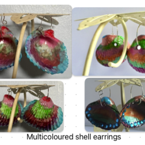 Multicoloured shell earrings