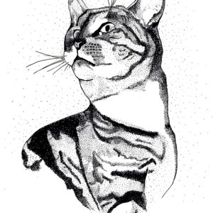 Tabby Cat Black and White Artwork Print Medium 8 x 10