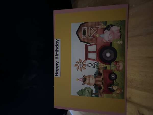 Birthday Card’s Handmade Greeting Card’s - Image 8