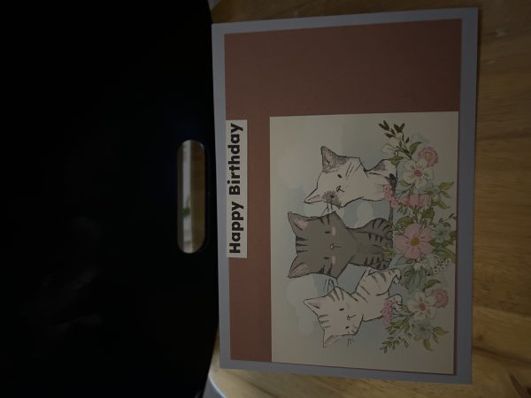 Birthday Card’s Handmade Greeting Card’s - Image 6