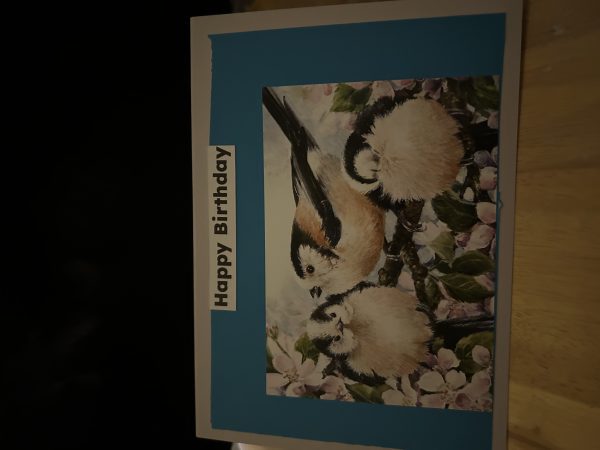 Birthday Card’s Handmade Greeting Card’s - Image 2