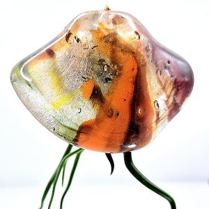 Trevor the small Jellyfish.