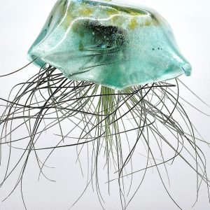 Juniper the large Jellyfish