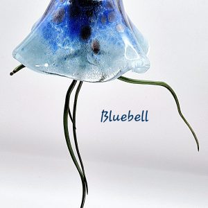 Bluebell the small Jellyfish