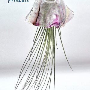 Princess the large Jellyfish
