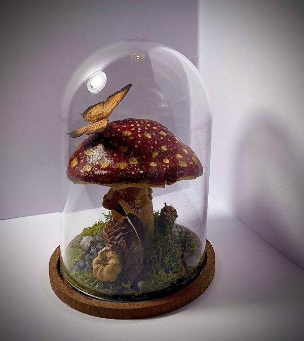Fantasy Fly Fungi