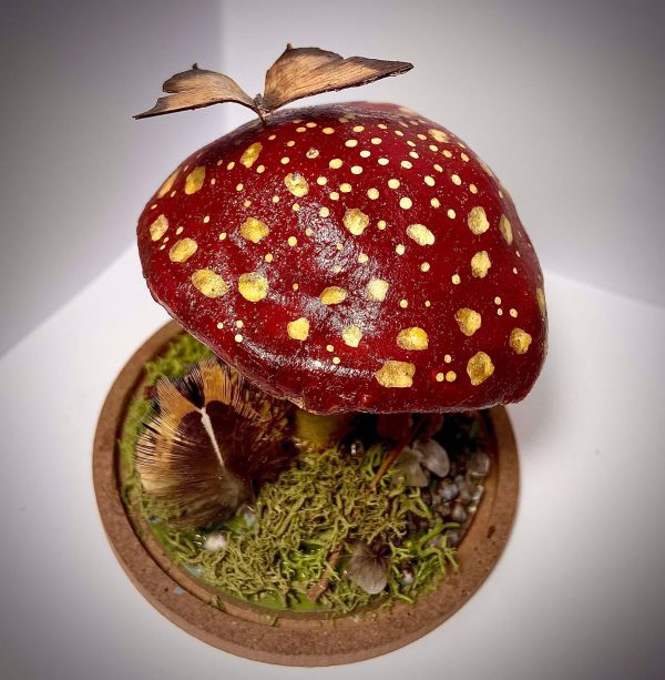 Fantasy Fly Fungi - Image 4