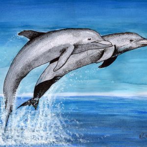 Dolphins - Jump for Joy  - artwork print
