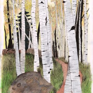 Silver Birch Forest - artwork print