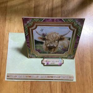 Handmade Birthday Card’s By P Williams